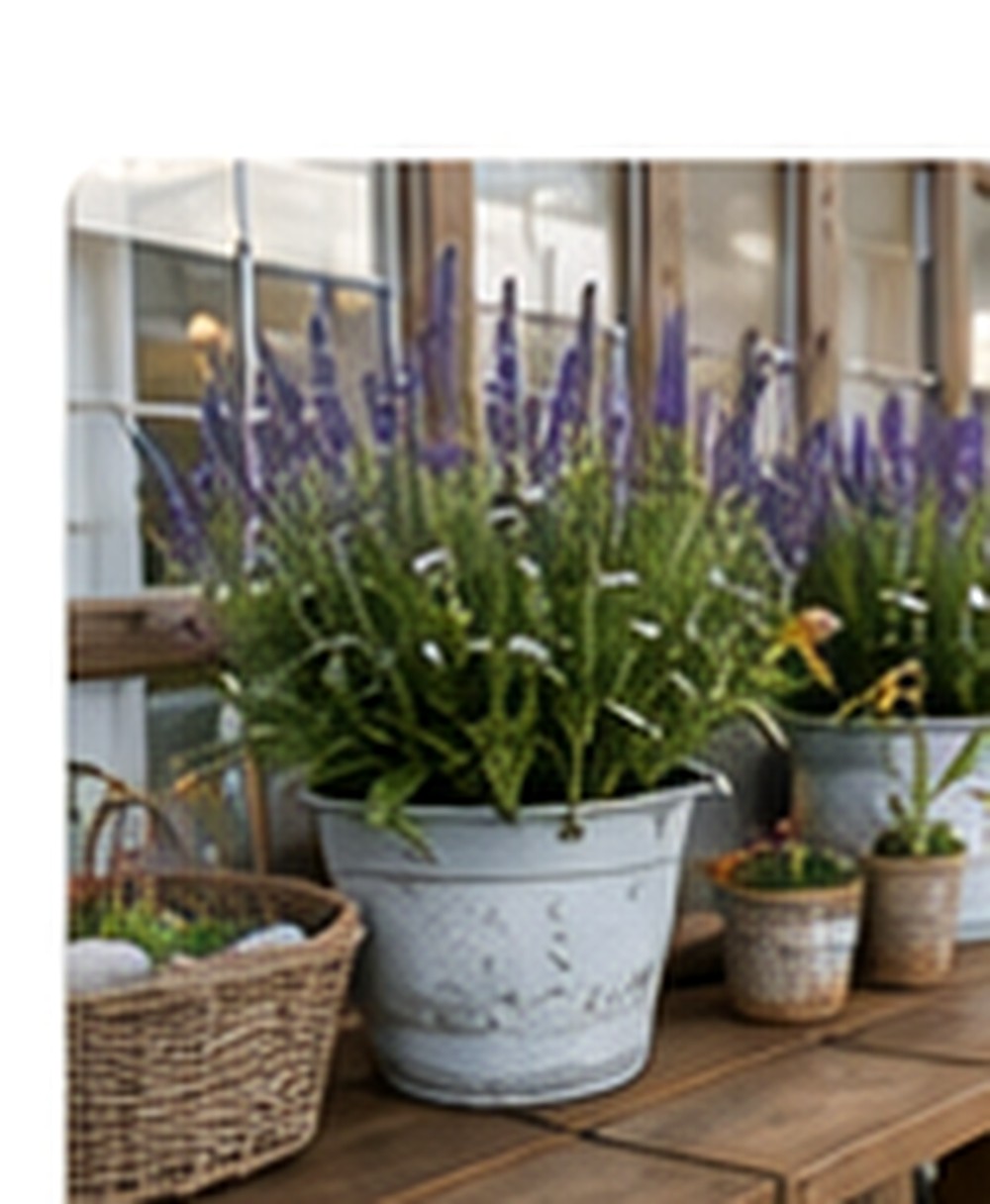 Plants, Produce & More